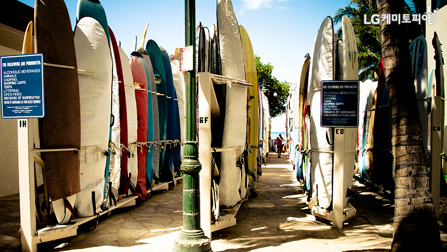 다양한 색깔의 서핑보드가 3열로 나란히 세워져 있다.