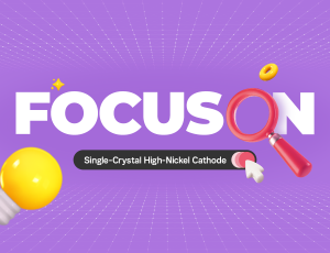 FOCUS ON: Single-Crystal High-Nickel Cathode