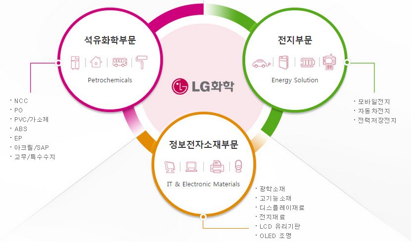 LG화학의 사업영역: 석유화학 부문, 전지 부문, 정보전자소재 부문