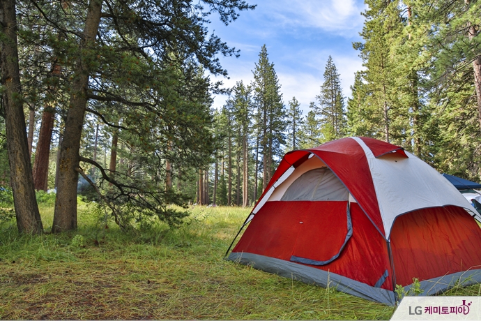 숲 속의 붉은 색 텐트