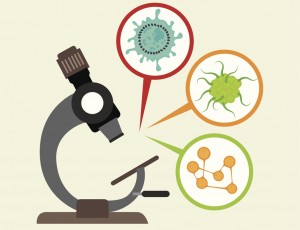보이지 않는 적, 세균과 바이러스! 차이점과 예방법은?