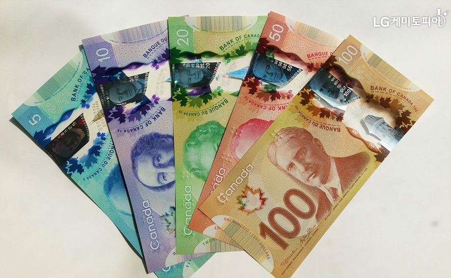 깨끗한 캐나다 5, 10, 20 50, 100달러 지폐들