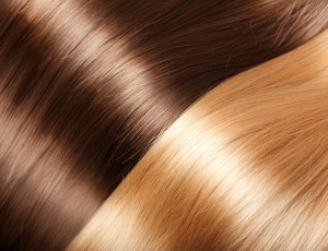 갈색머리카락과 황금색머리가락에 윤기가 흐르는 모습