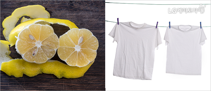 (좌)레몬과 레몬껍질, (우)빨래줄에 걸려있는 흰색 티셔츠 3장