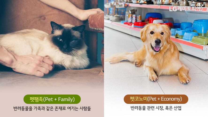 펫팸족(Pet + Family) 반려동물을 가족과 같은 존재로 여기는 사람들 펫코노미(Pet + Economy) 반려동물 관련 시장, 혹은 산업