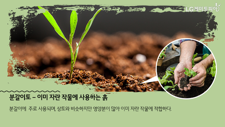 분갈이토 – 이미 자란 작물에 사용하는 흙: 분갈이에 주로 사용되며, 상토와 비슷하지만 영양분이 많아 이미 자란 작물에 적합하다. 