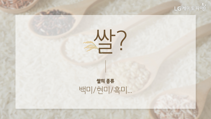 쌀?, 쌀의 종류 - 백미/현미/흑미