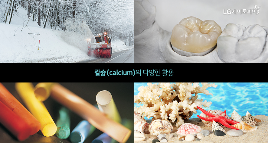 칼슘(calcium)의 다양한 활용