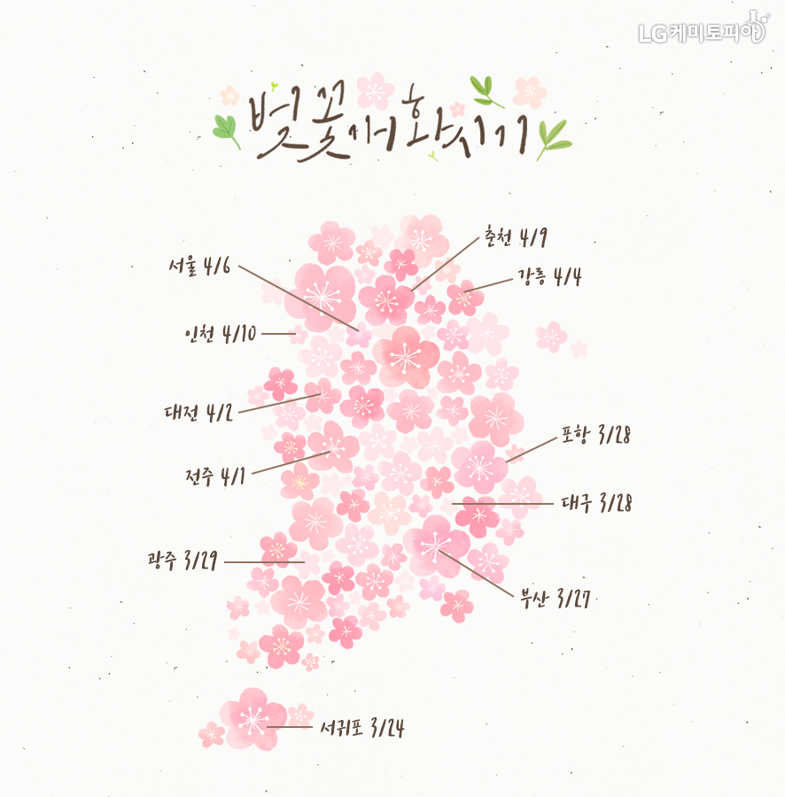 벚꽃개화시기 지도