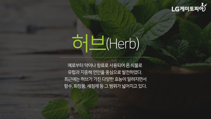 허브(Herb) - 예로부터 약이나 향료로 사용되어 온 식물로 유럽과 지중해 연안을 중심으로 발전하였다. 최근에는 허브가 가진 다양한 효능이 알려지면서 향수, 화장품, 세정제 등 그 범위가 넓어지고 있다.