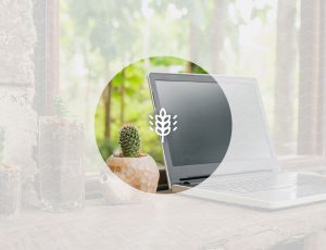 창가에 화분과 노트북이 놓여있는 사진