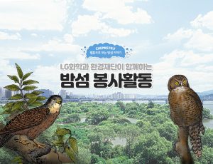 웹툰으로 보는 밤섬 이야기 #3. LG화학과 환경재단이 함께하는 밤섬 봉사활동!