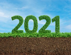 2021년 LG화학의 지속가능성은?